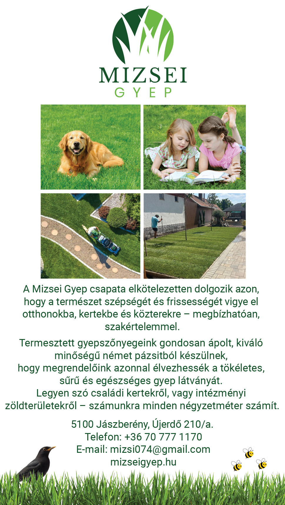 prémium gyepszőnyeg Kecskemét